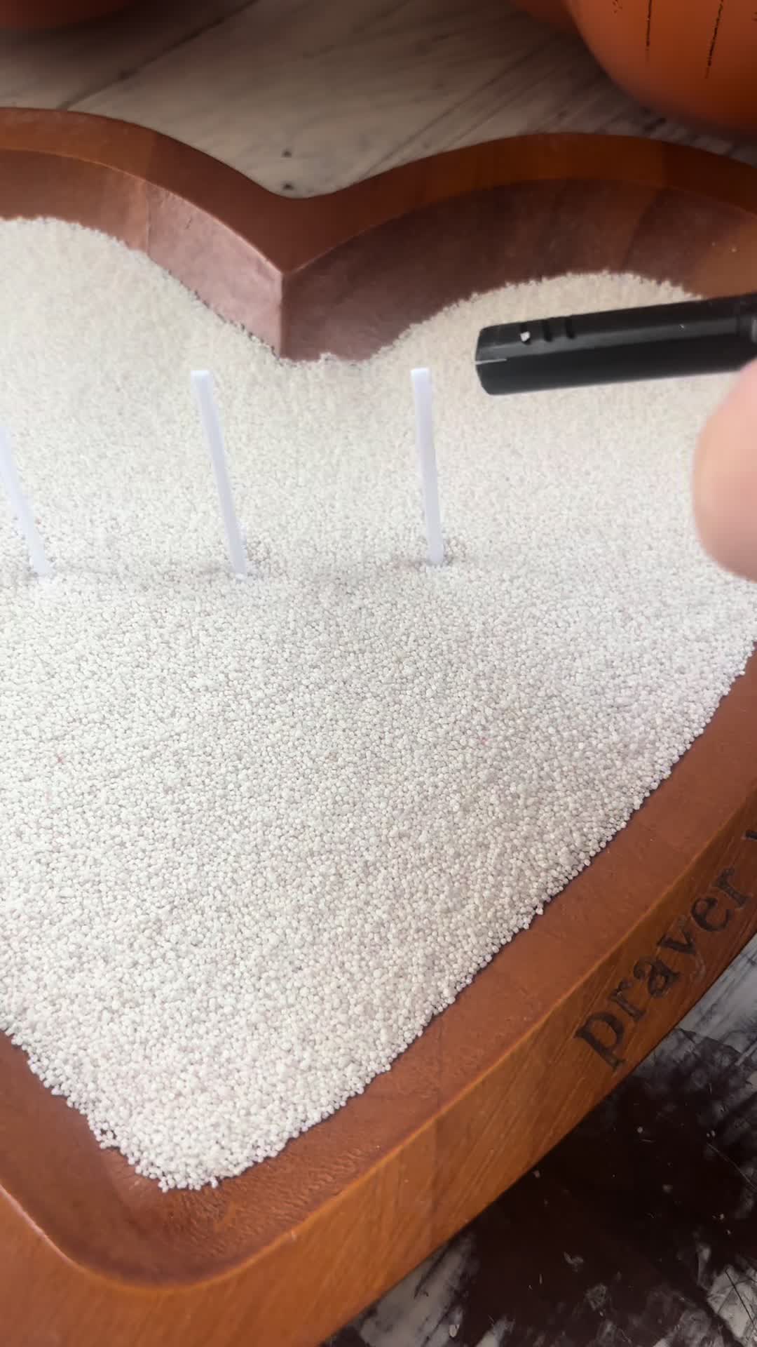 @Allybunz🦋