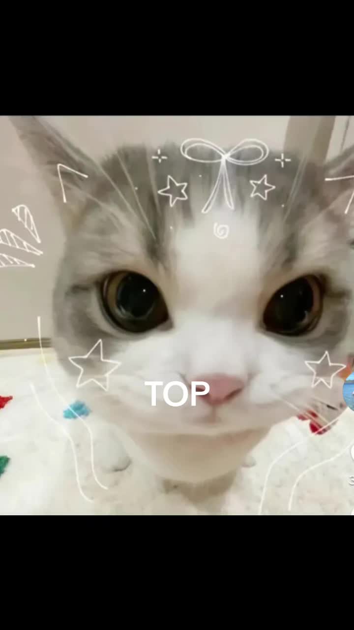 @Sindy123!