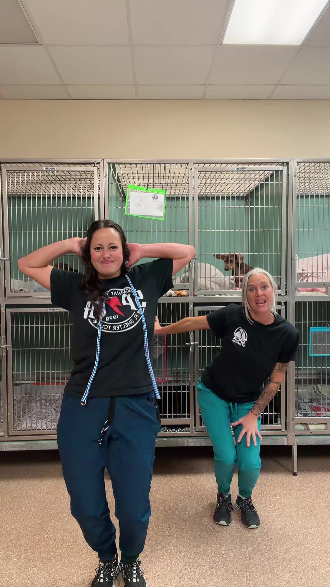 @2vettechs