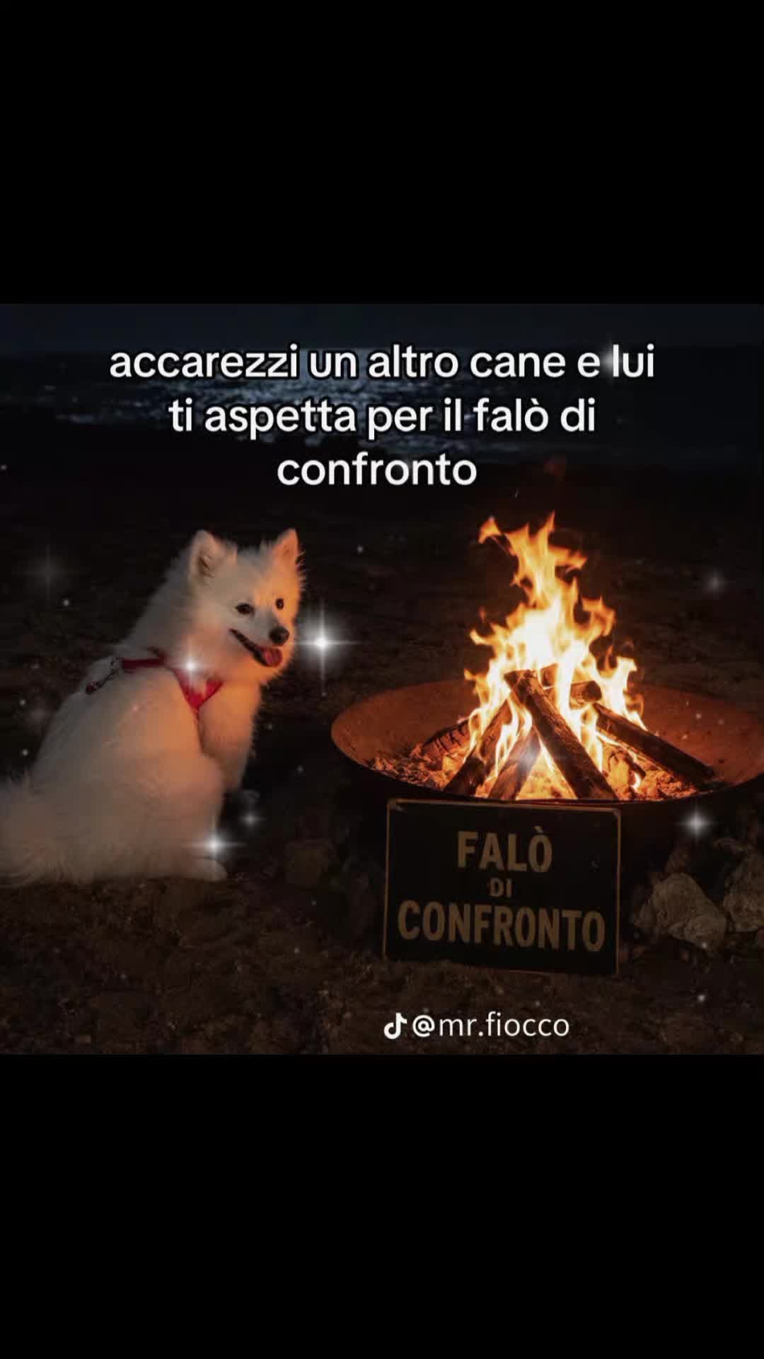 @titi