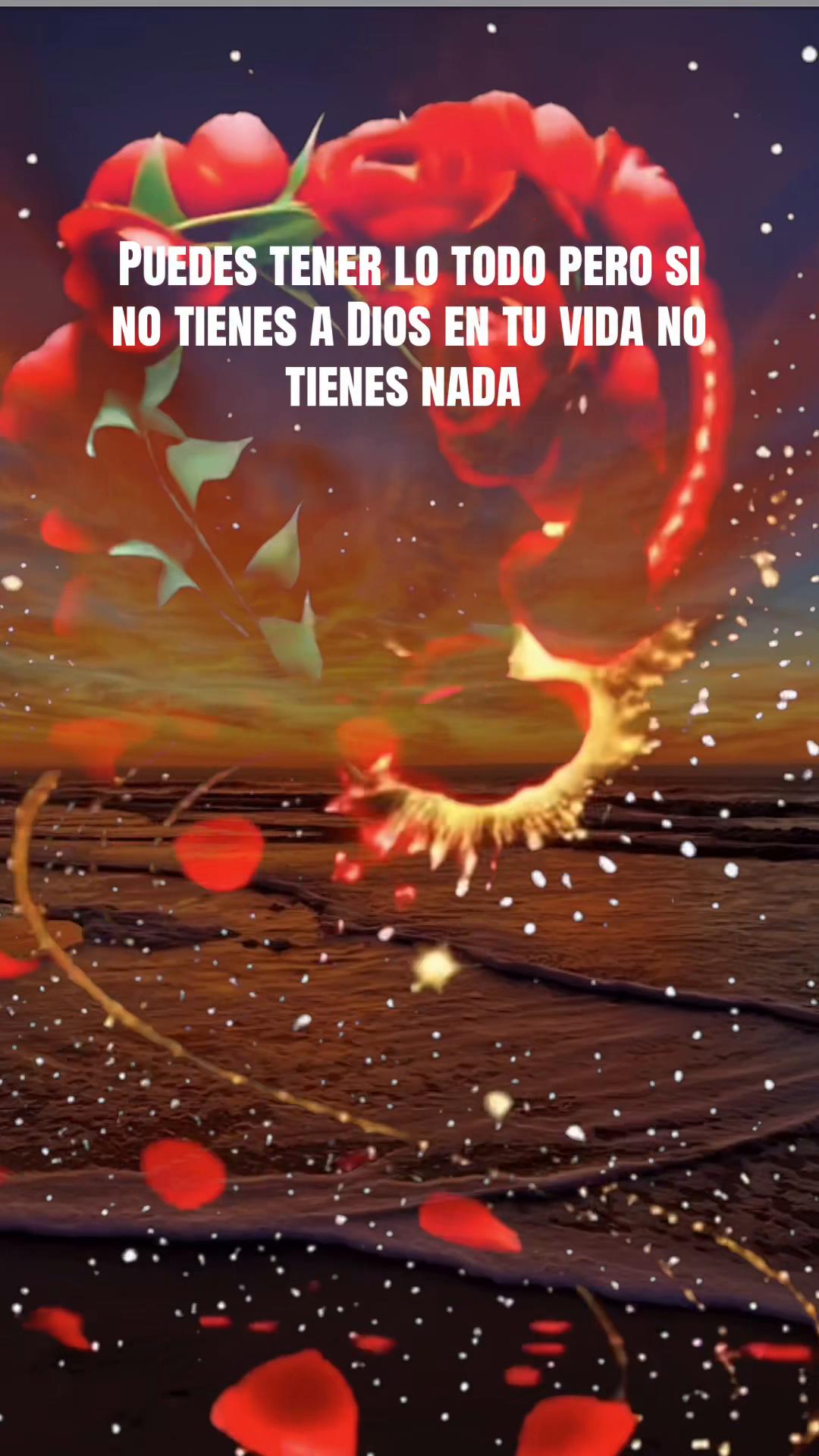 @🙌🏻🦋Sandra🙌🏻🦋