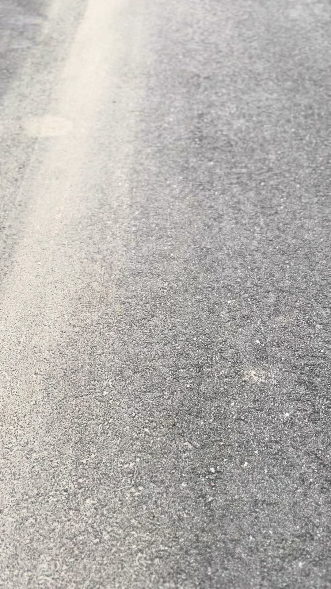 @steezy.eg