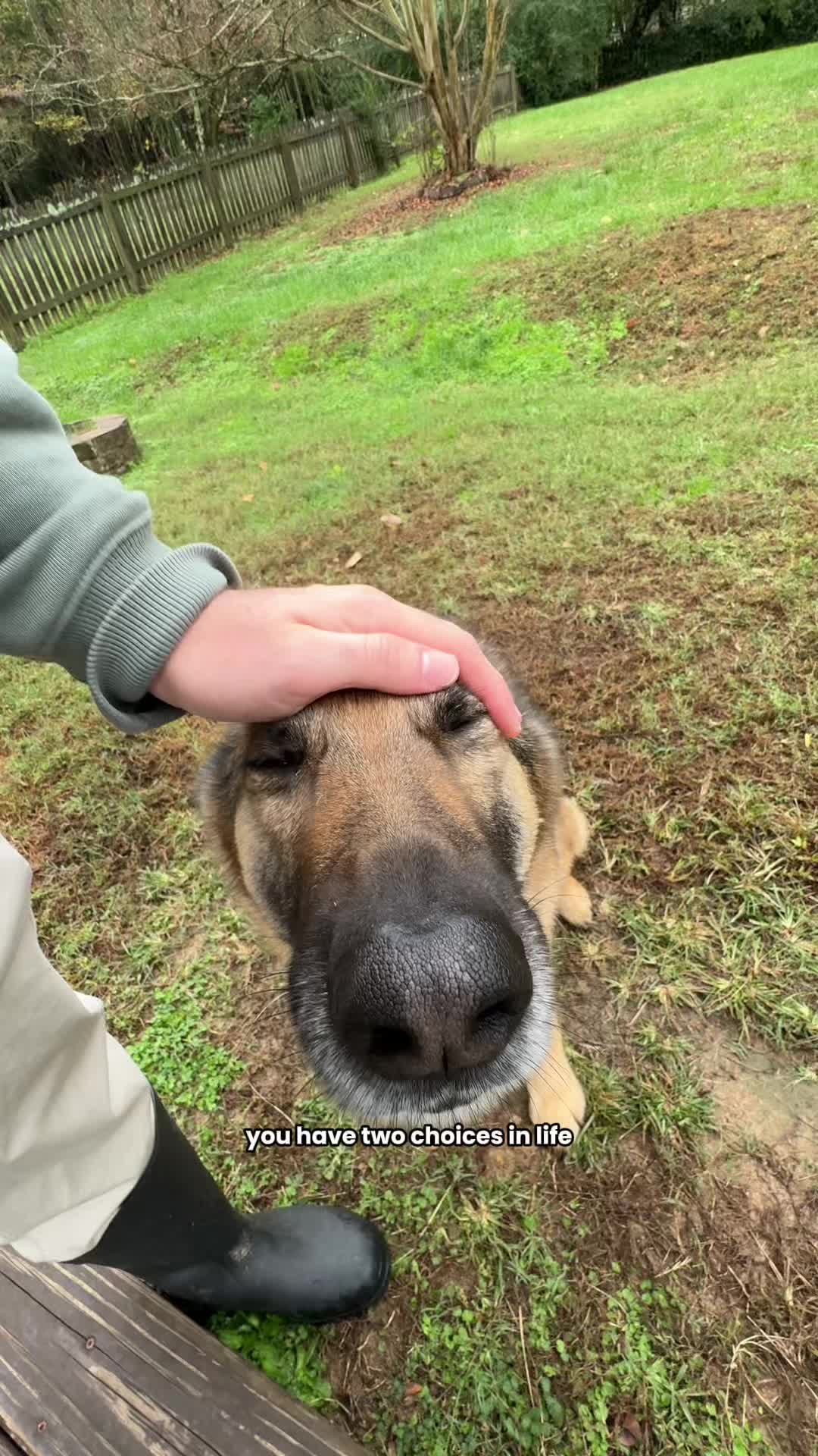 @Best Boy Benson