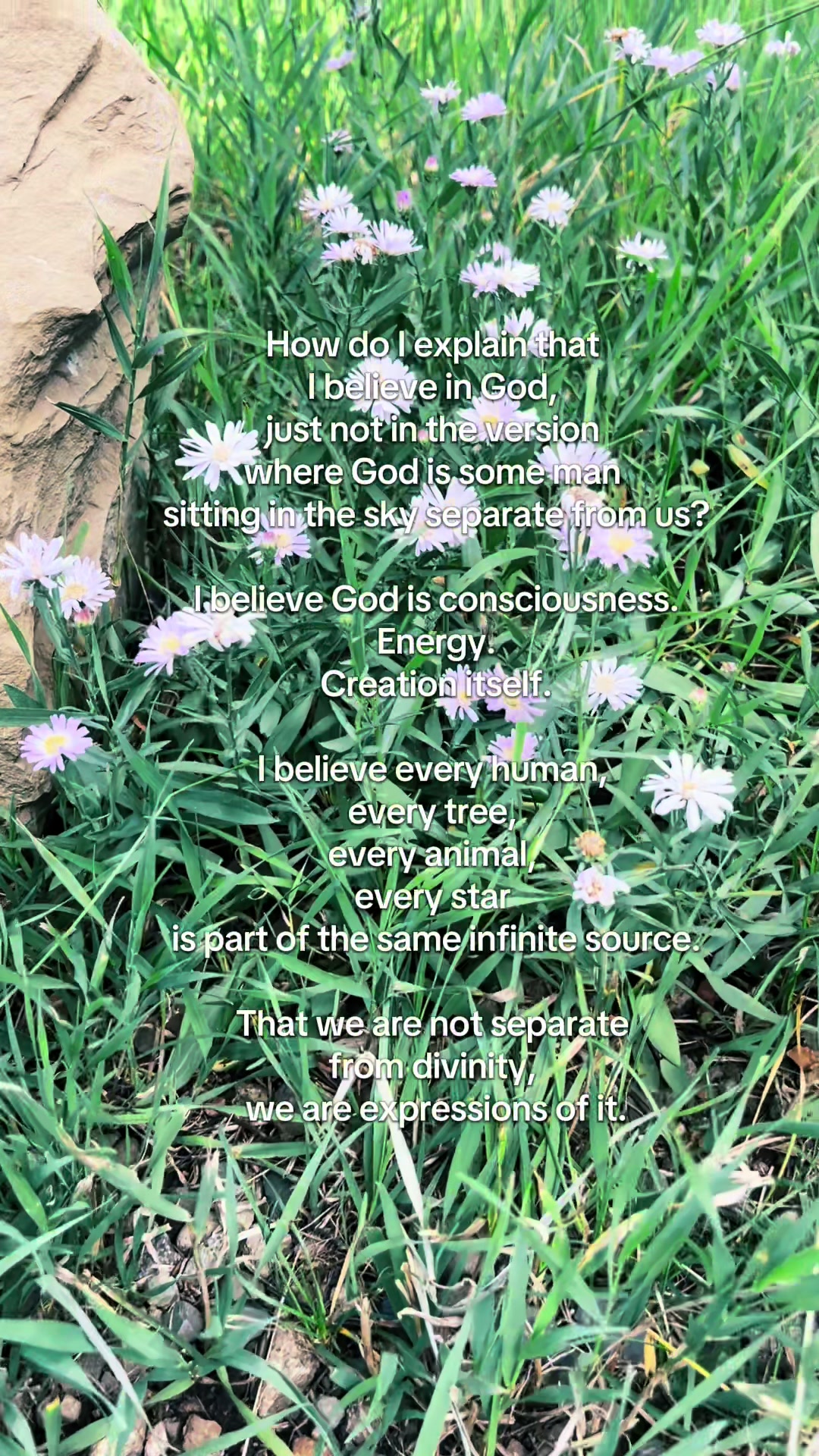 @Jasmin | A Rooted Life