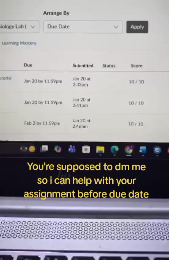 @Vanessah Essays