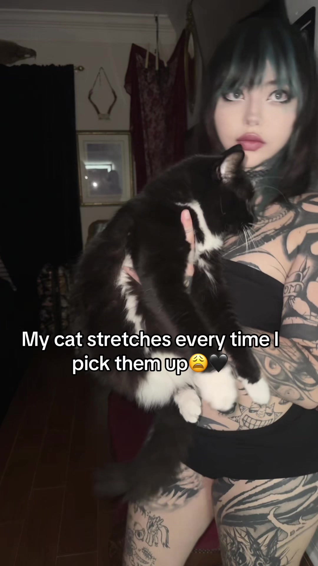 @triplexcelestee