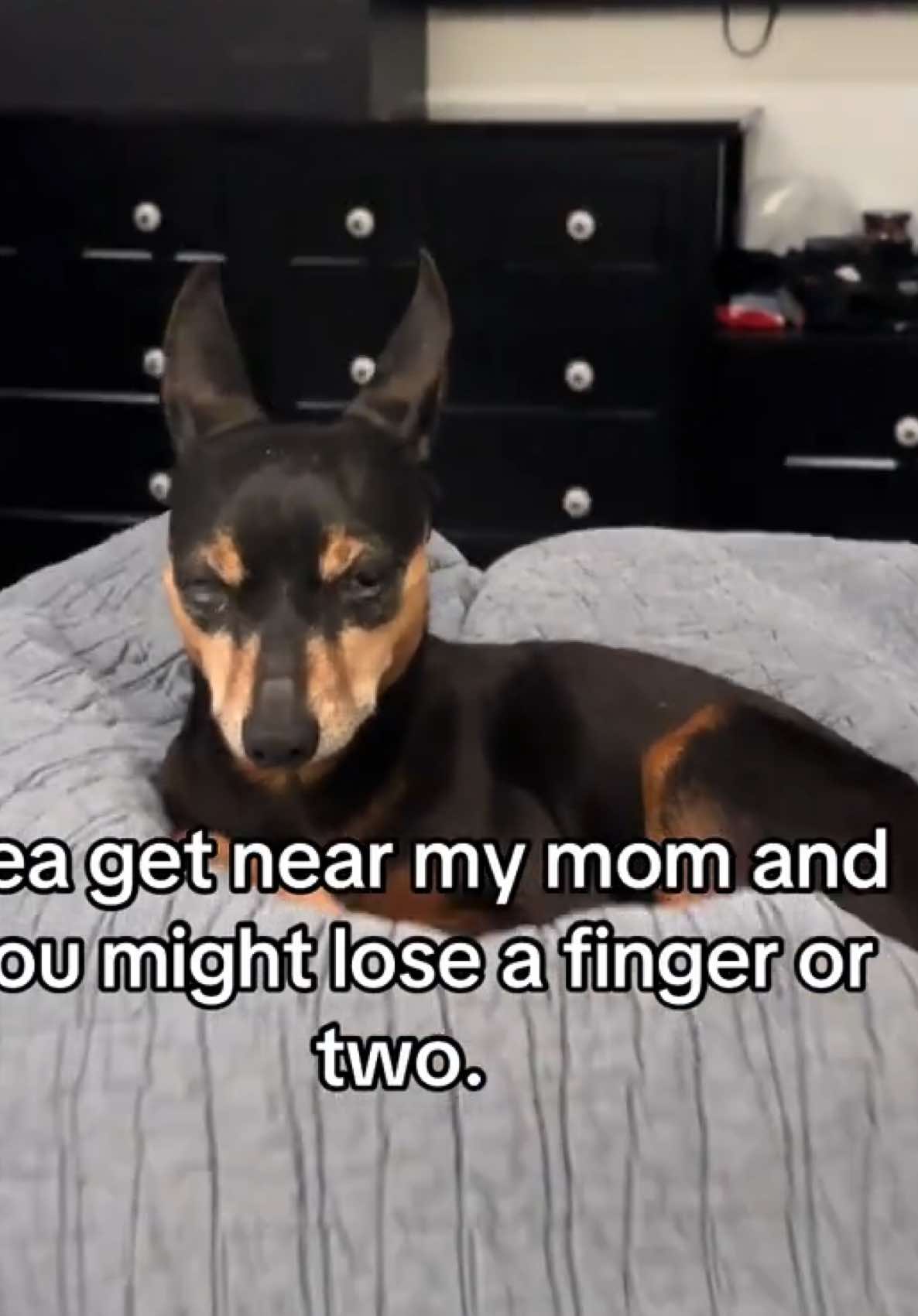 @J.R.