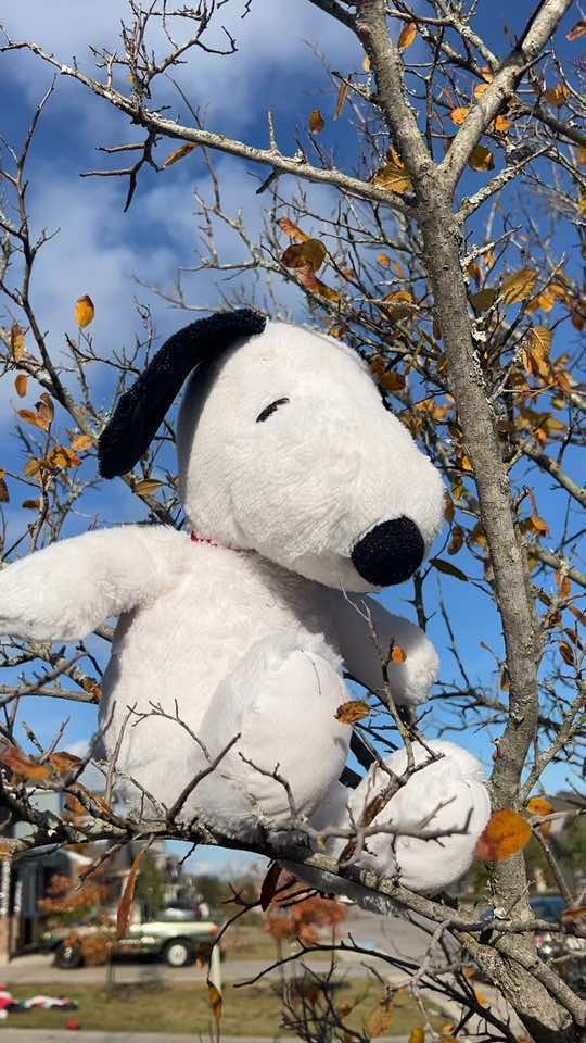 @snoopy