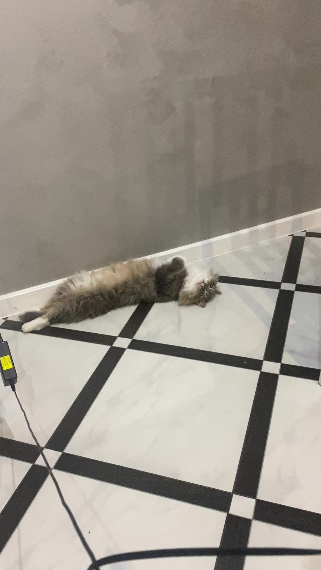 @ЕвГений