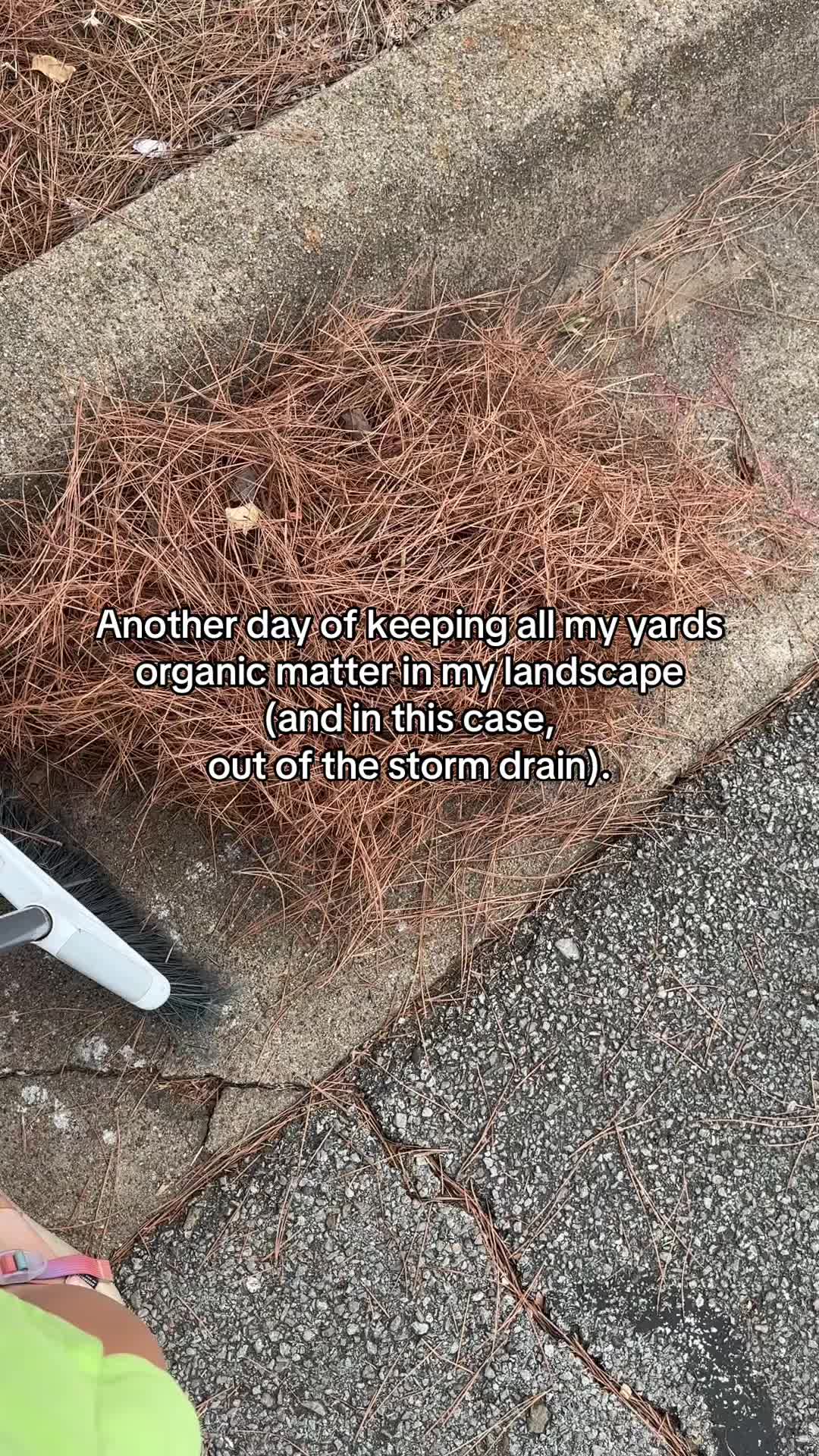 @Jessica | Xenia Backyards