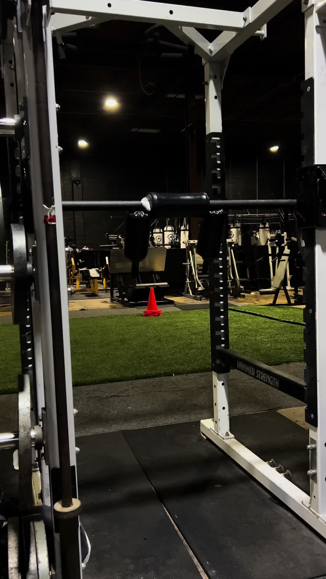 @Connerfoxlifts