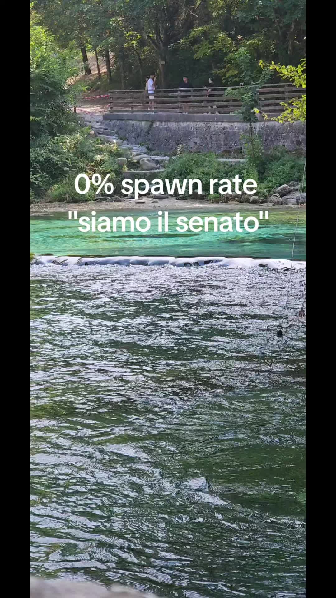 @anonimo
