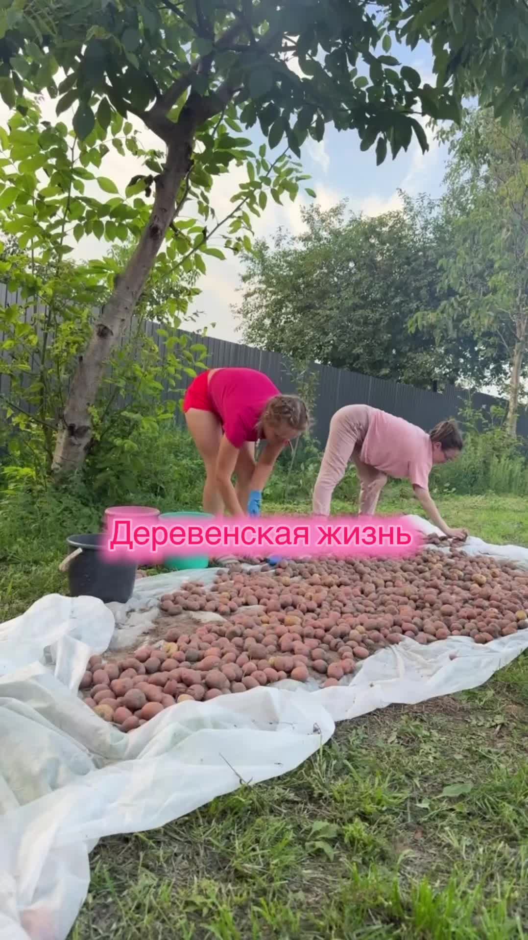 @Masha_Enina2003