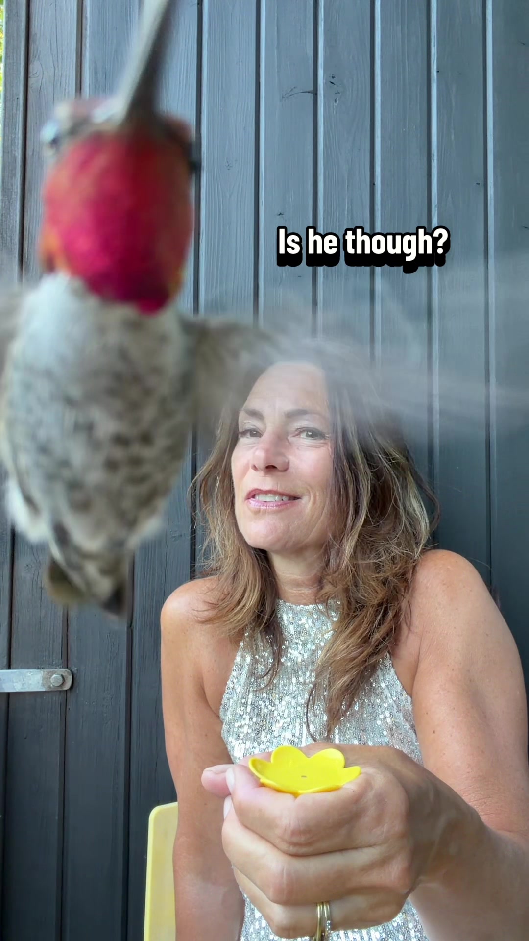 @Hummingbirdcrazy
