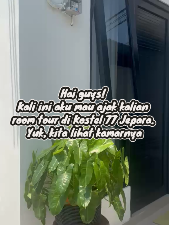 @kostel77