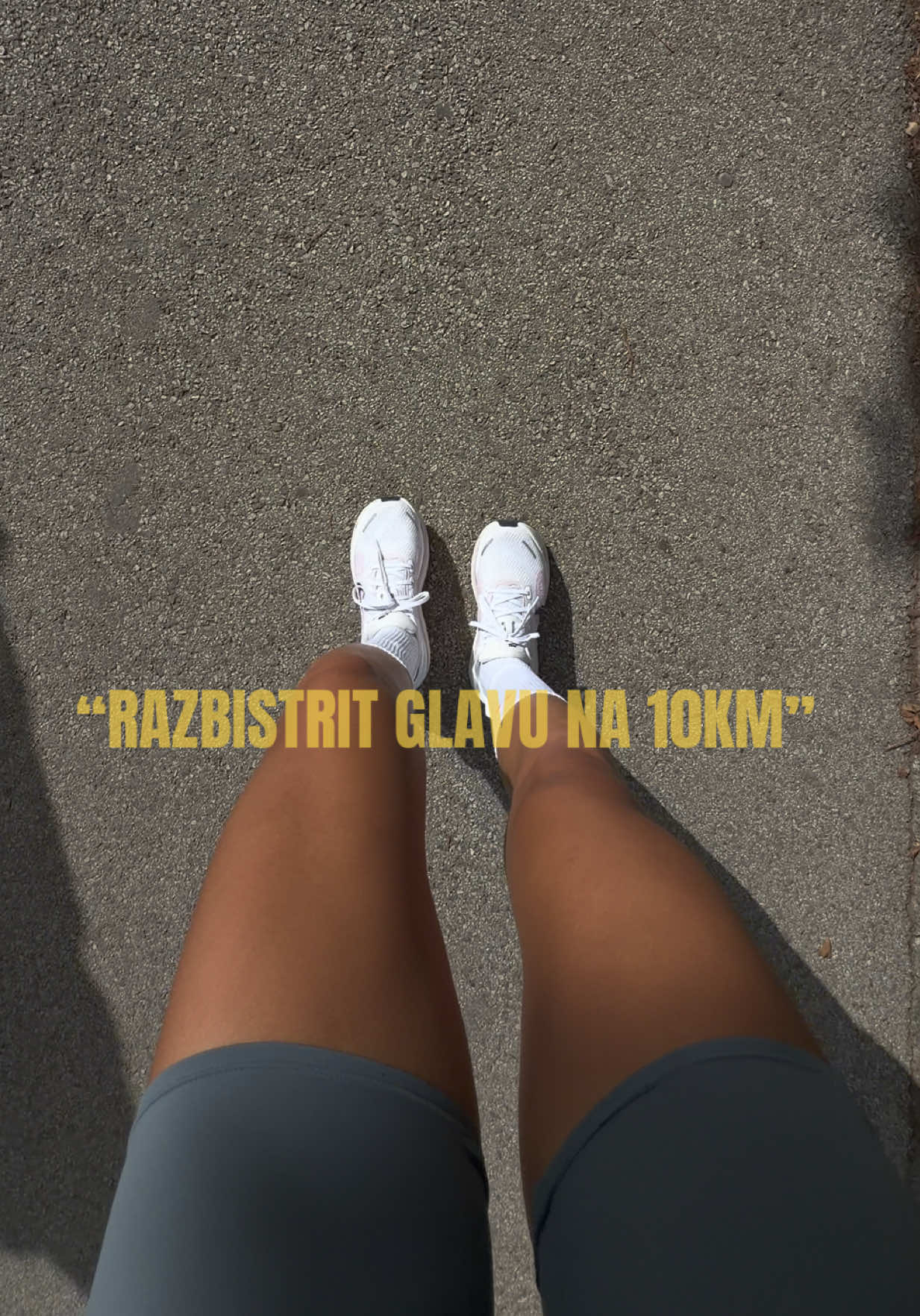 @viks28