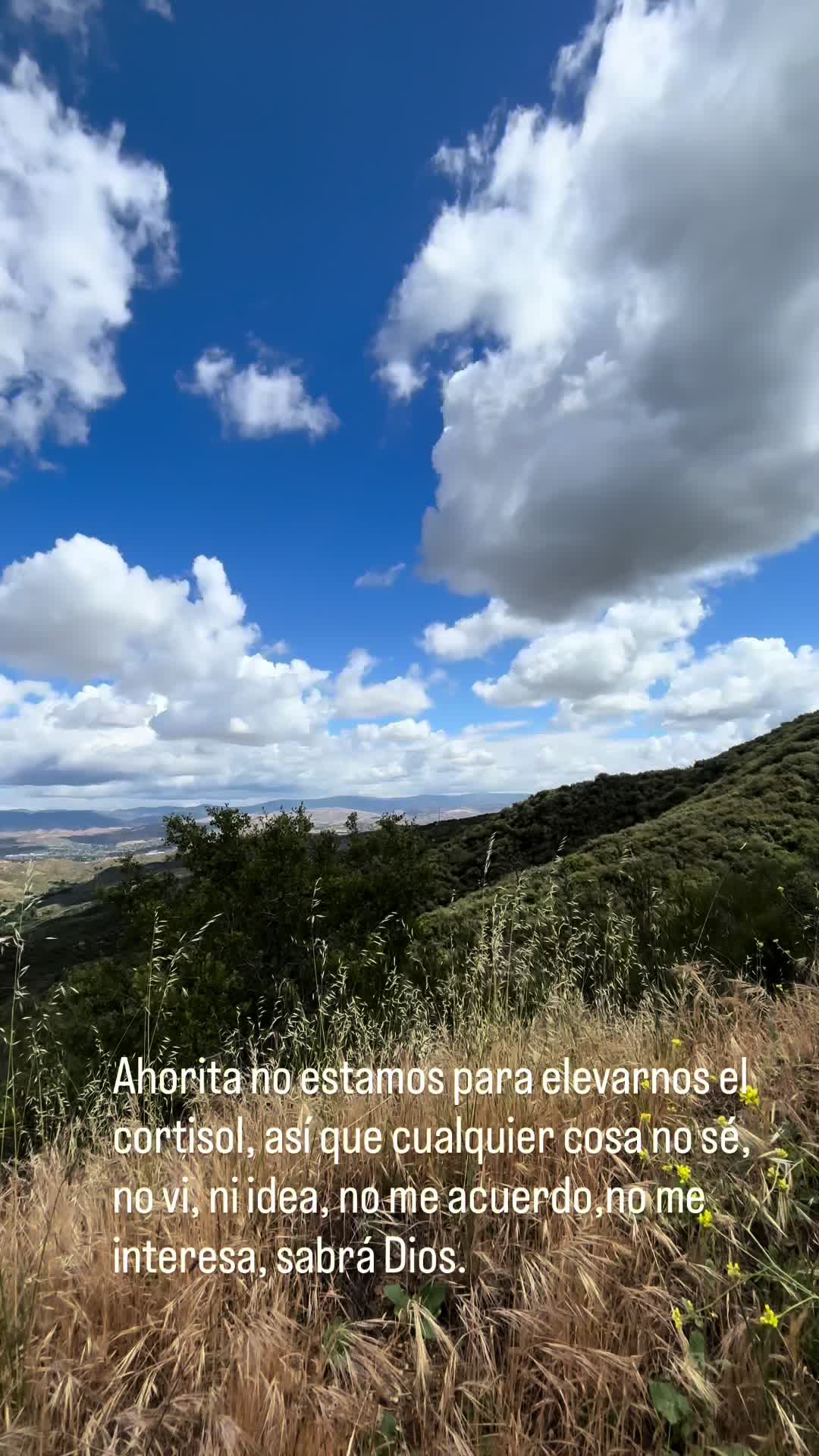 @Marcela García