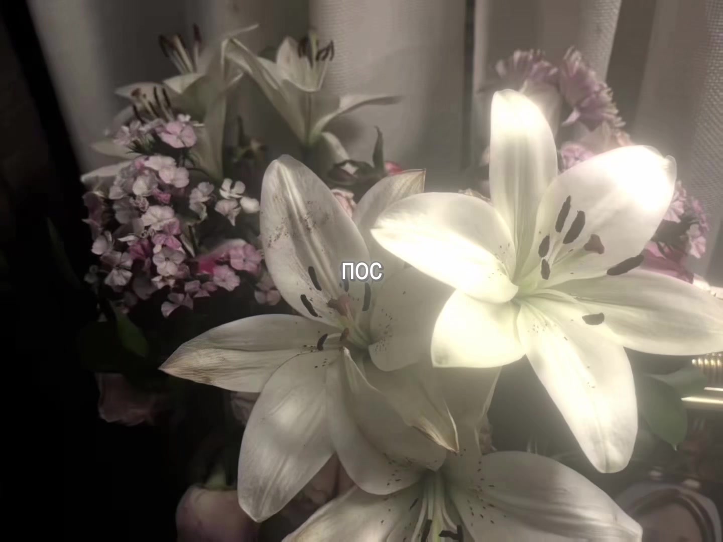 @звуки для липсингов
