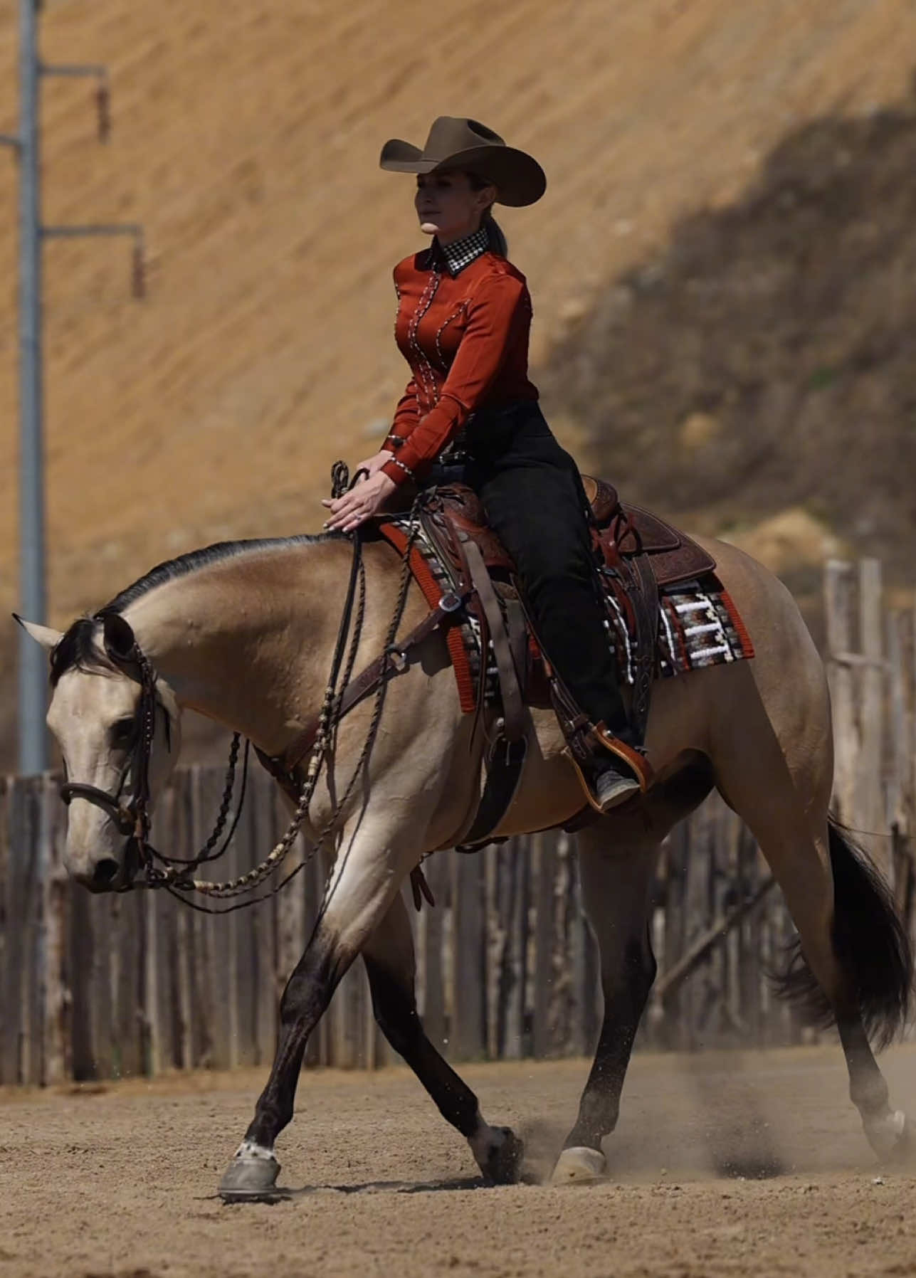 @Miranda | Equine Photographer