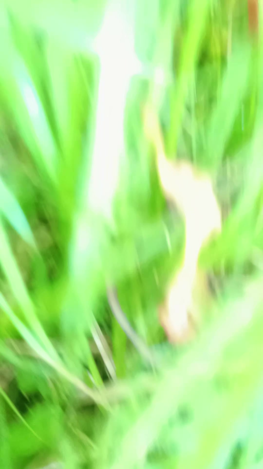 @maxut15/88