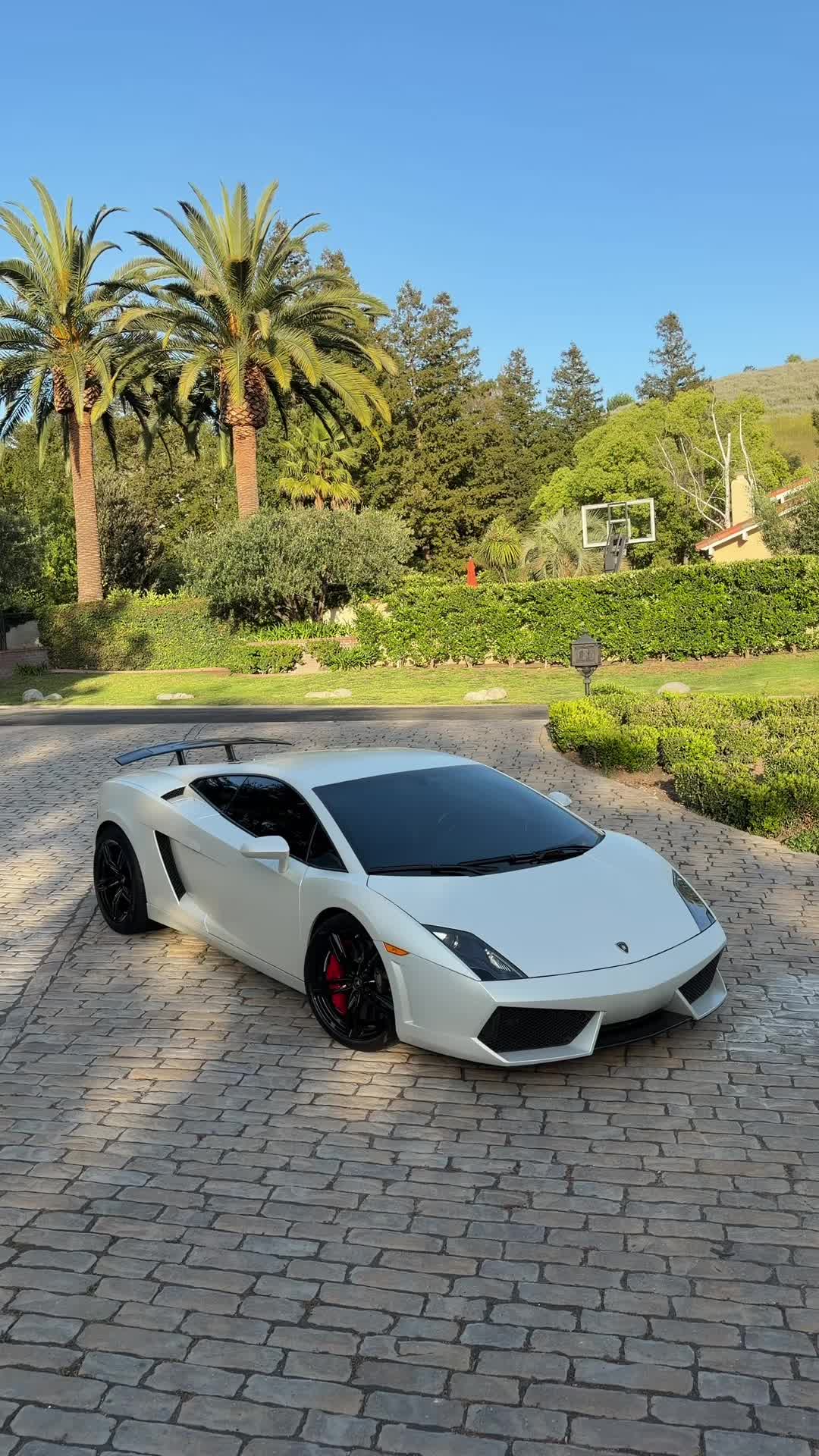 @jerrybluem2