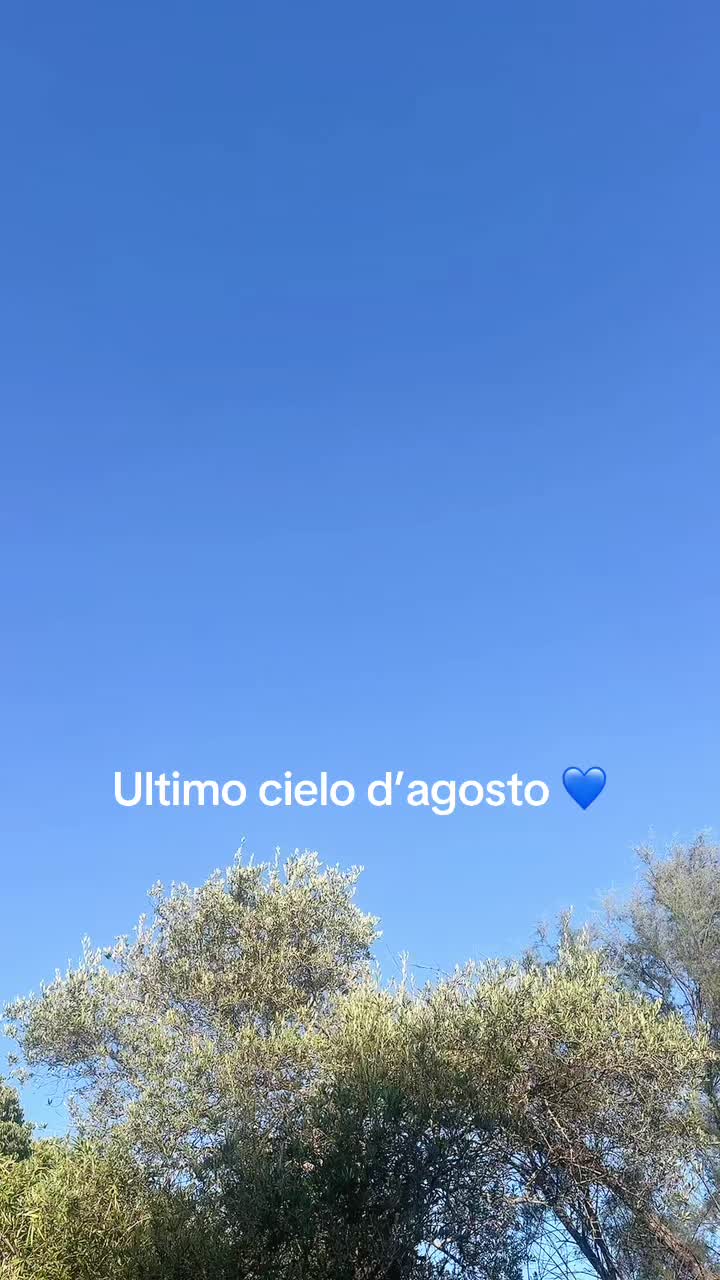 @Ily🦋