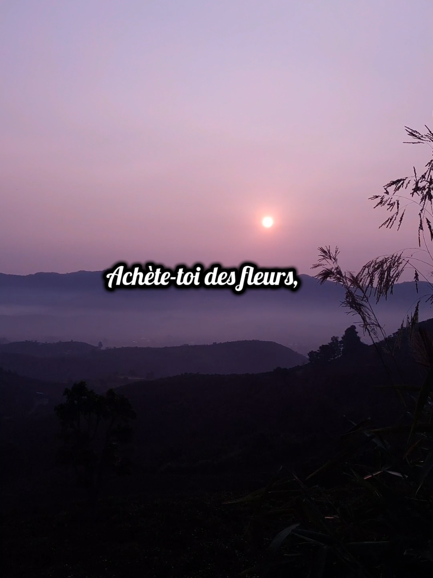 @Citations26