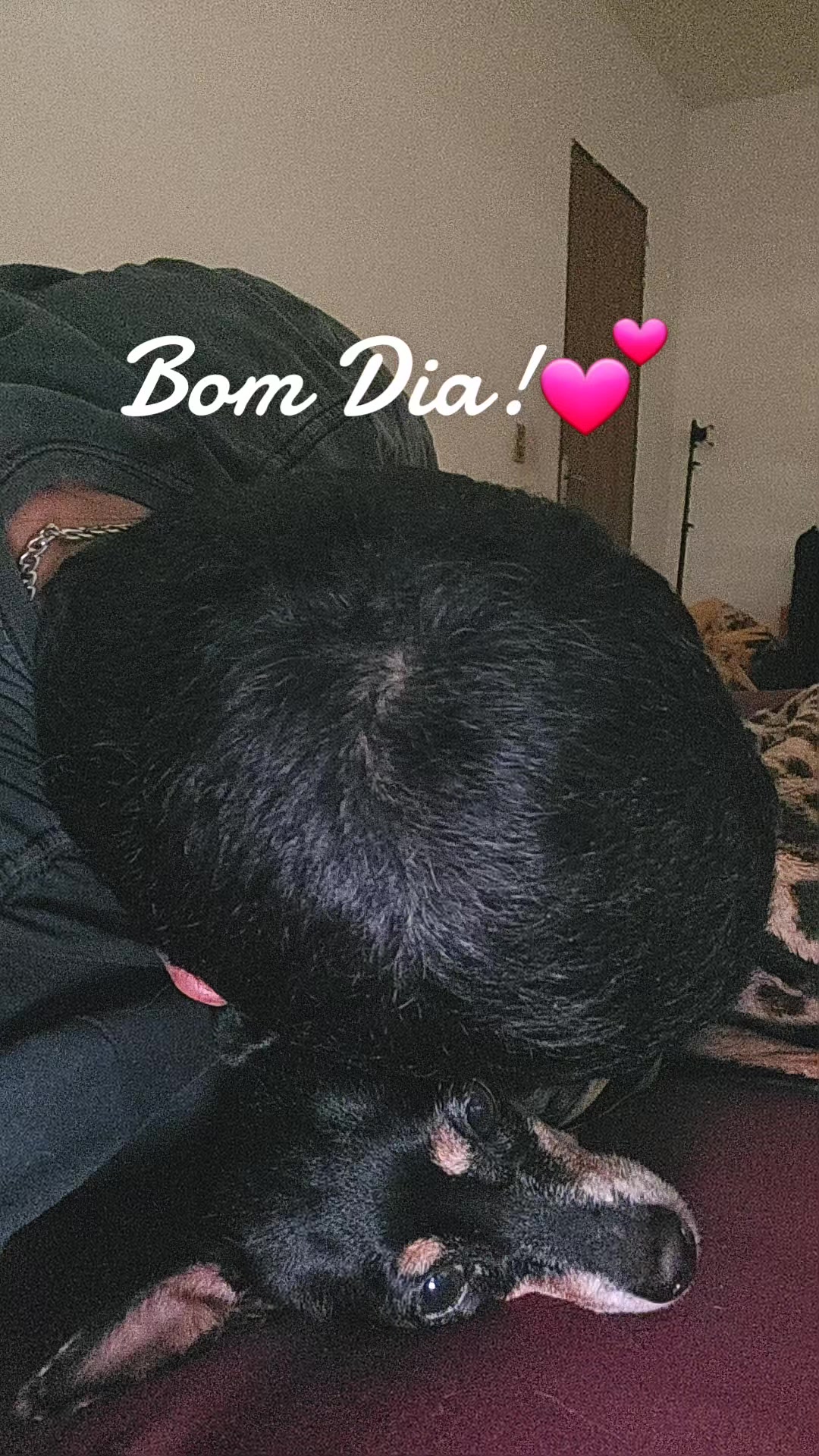@Tropa da Fatinha🐶🐱🐎...