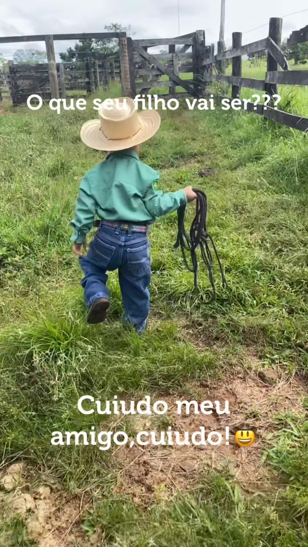 @Aline Filipini