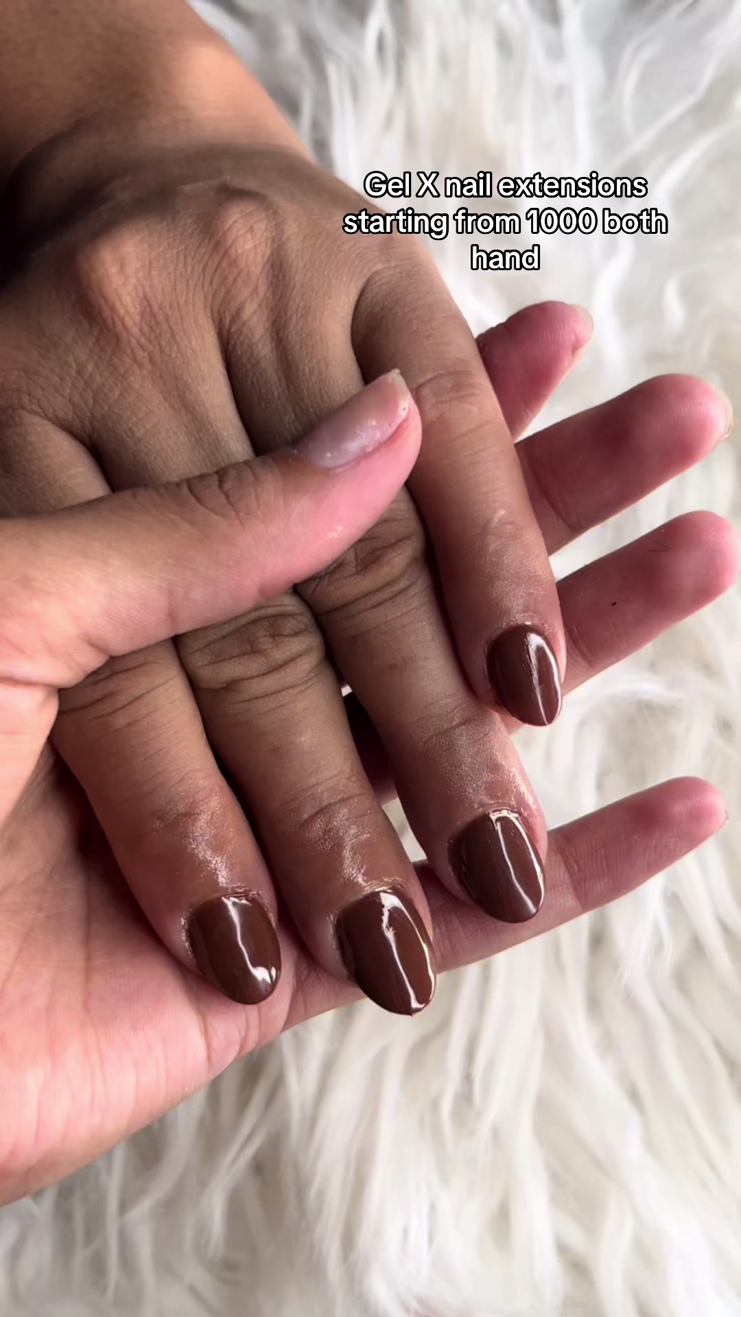 @snehabeautypalou
