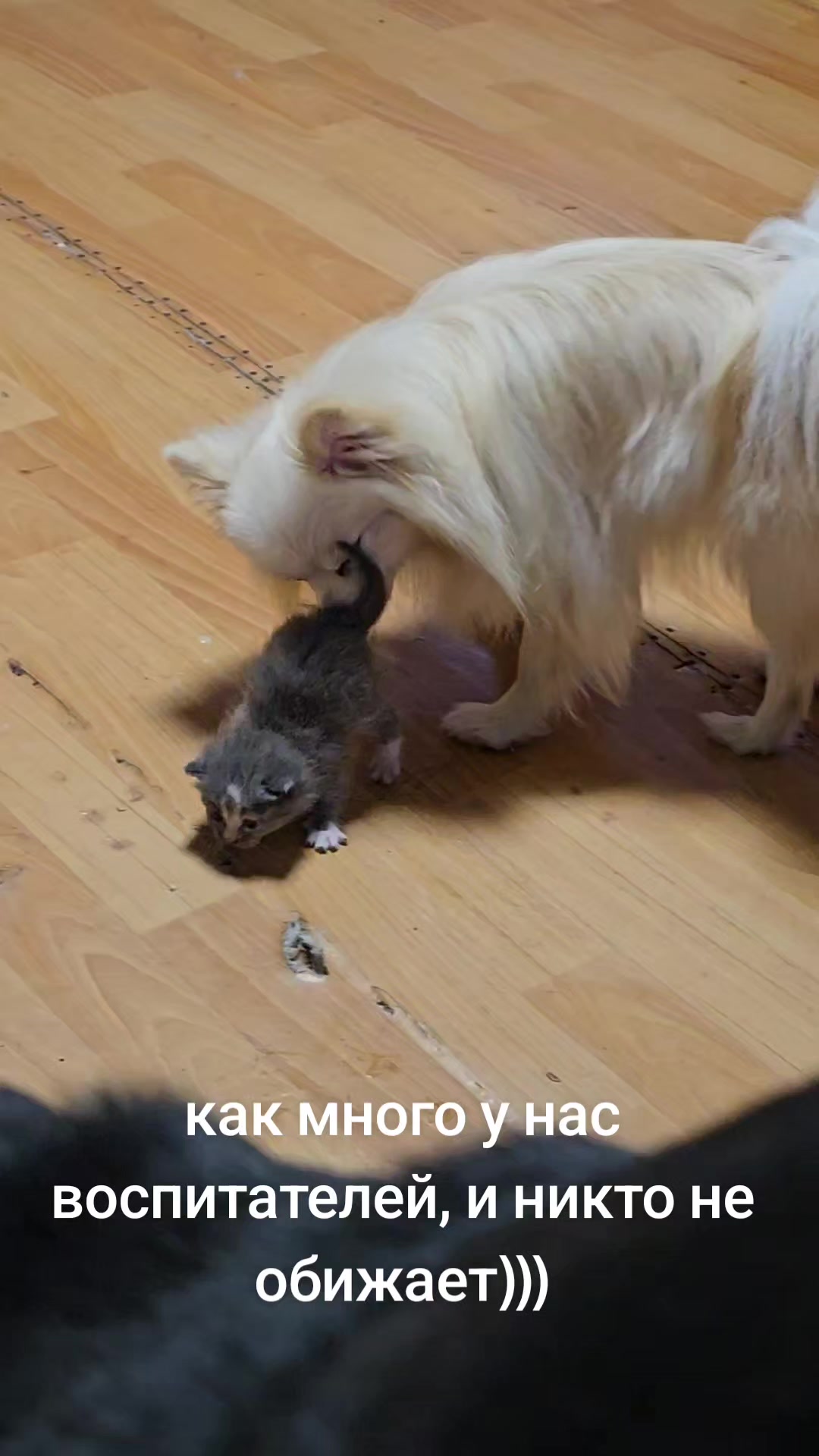 @nerachka