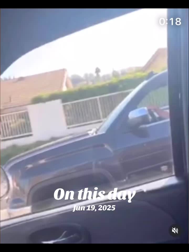 @lifewithlazy