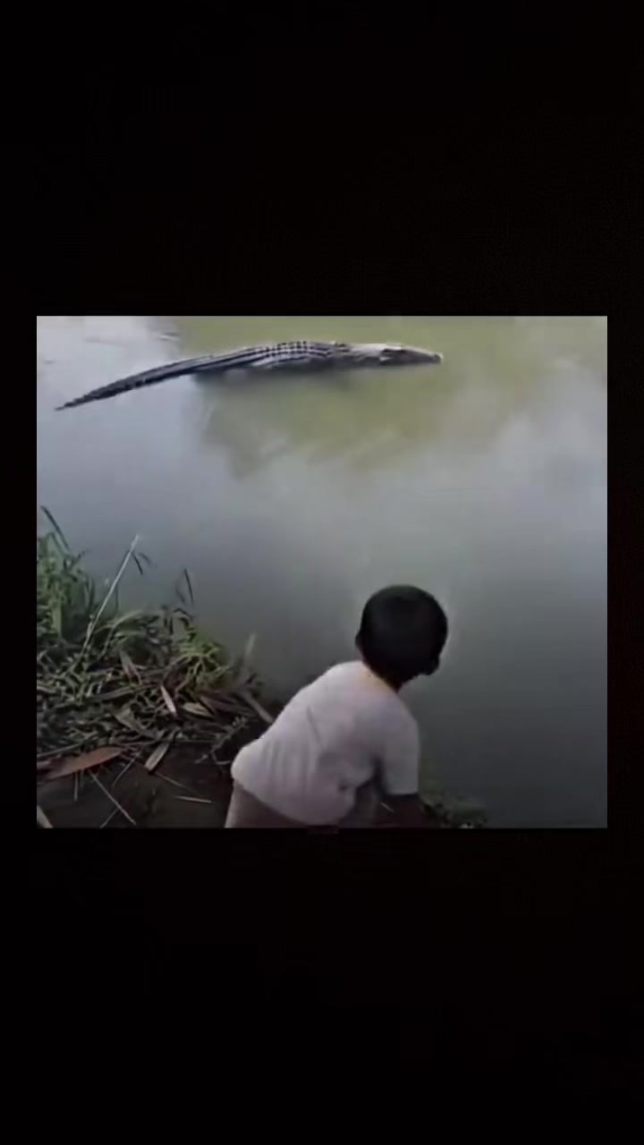 @Y:ffrd