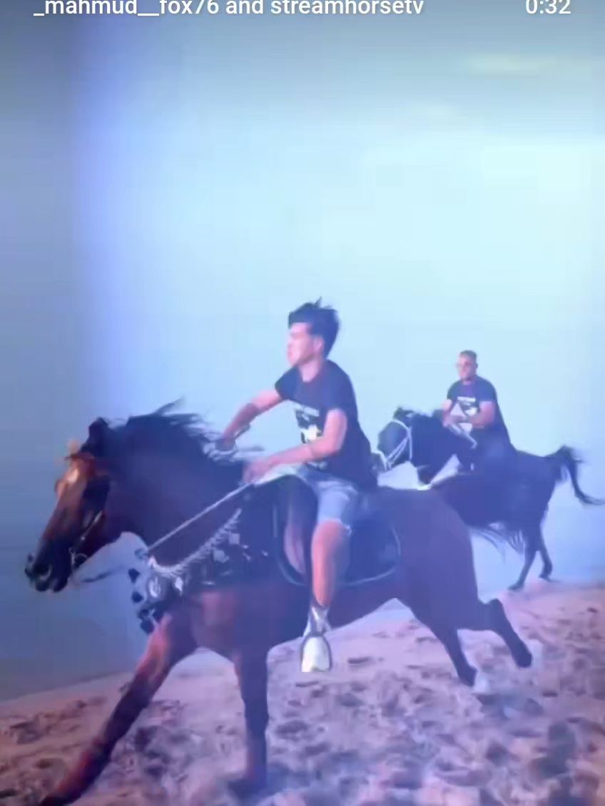 @streamhorse