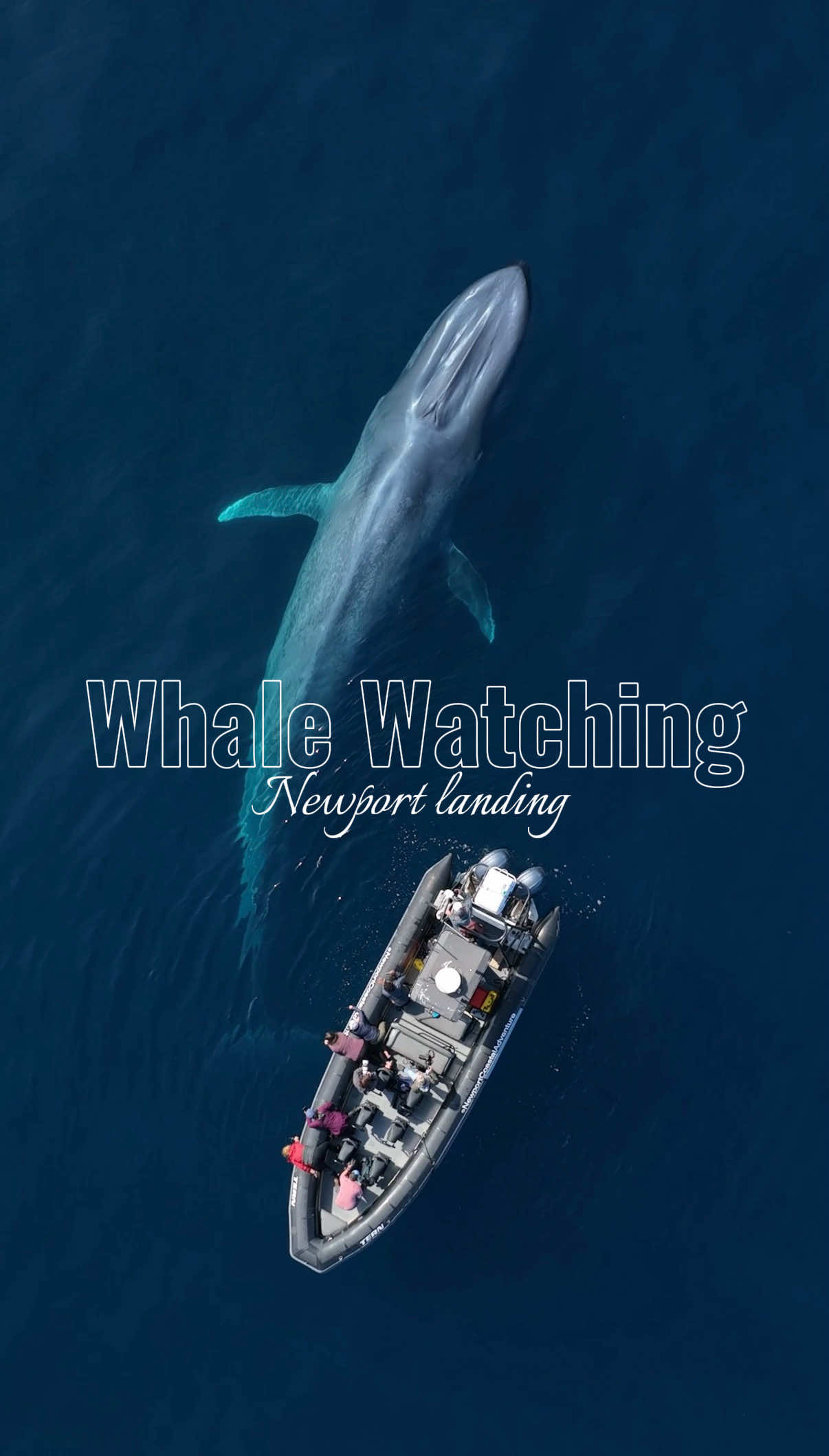 @Jezelle Procario