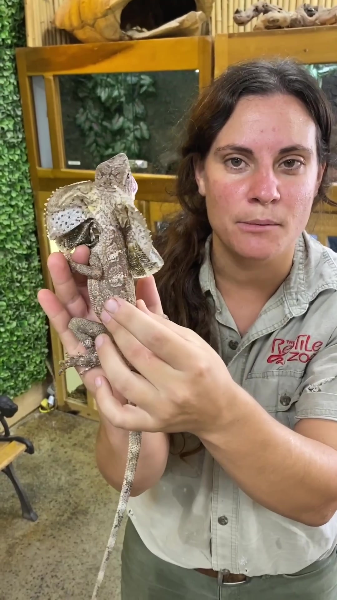 @The Reptile Zoo