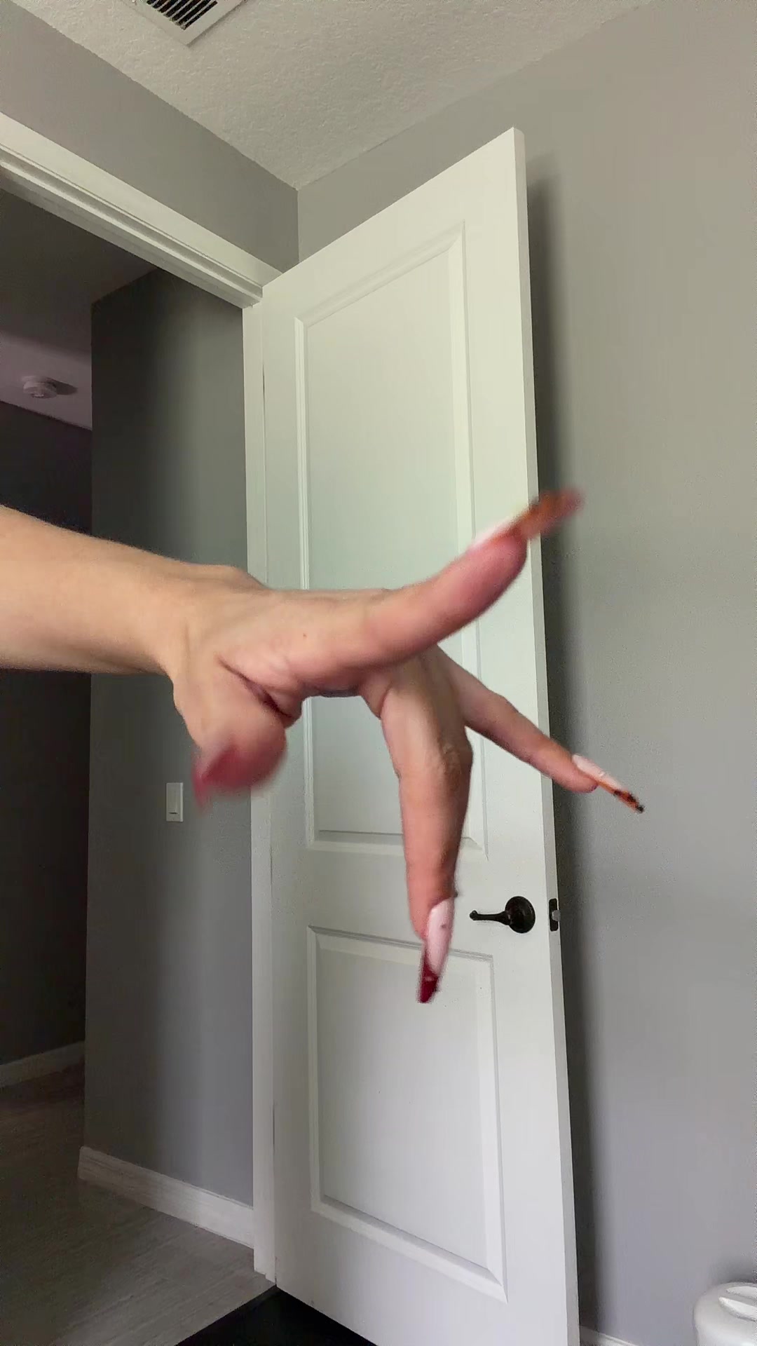 @tabby