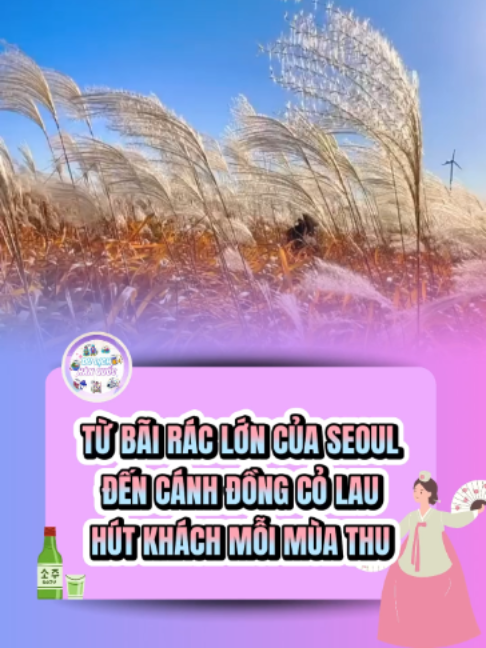 @Du Lịch Hàn Quốc