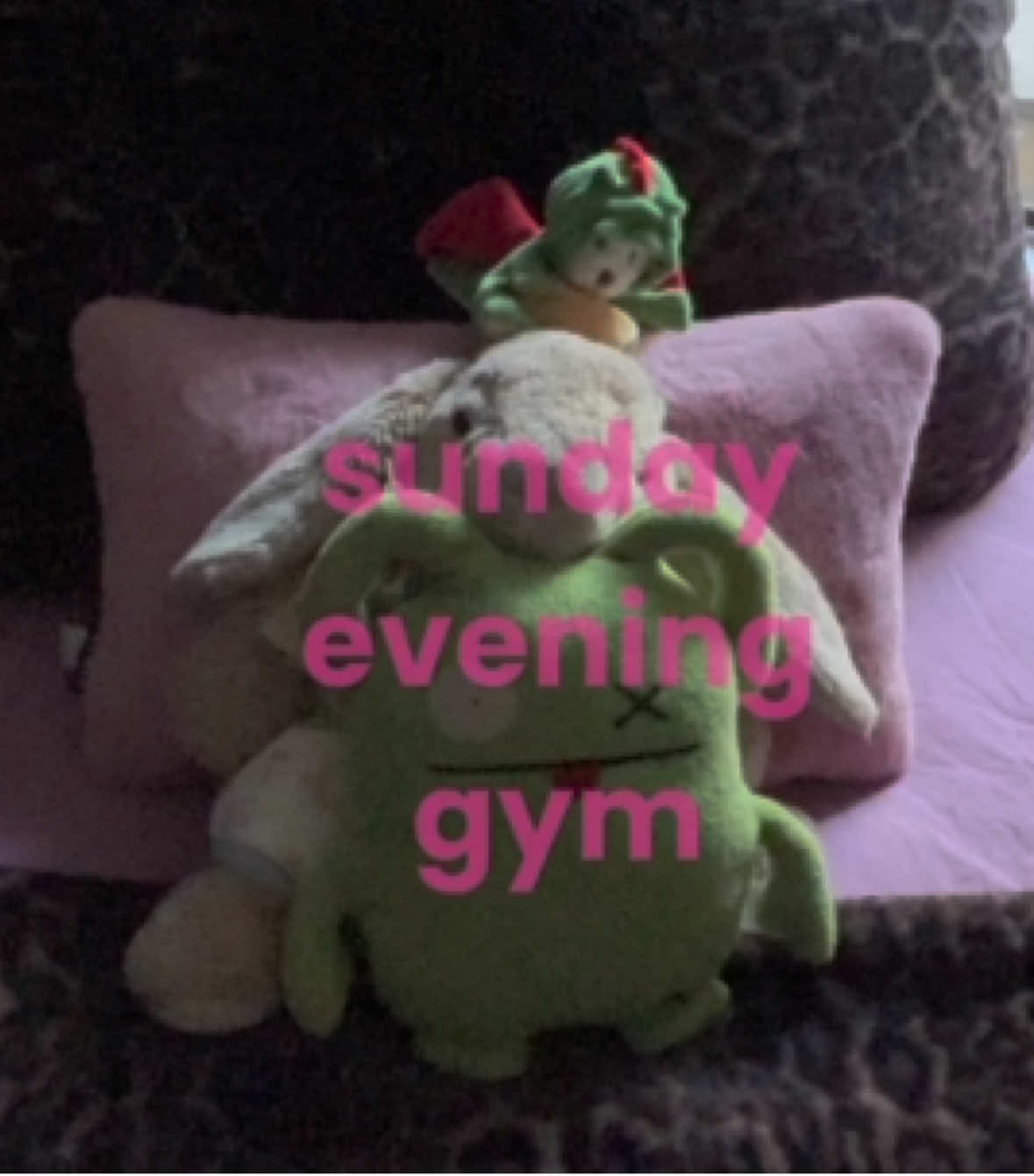 @idalis