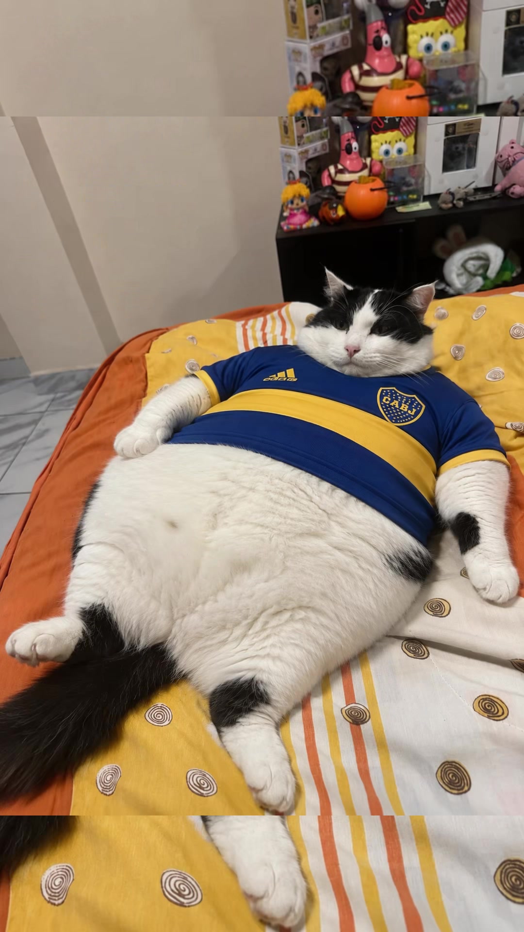 @pepe_el_gordillo