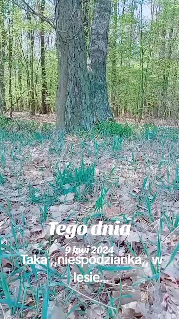 @MaGdaC