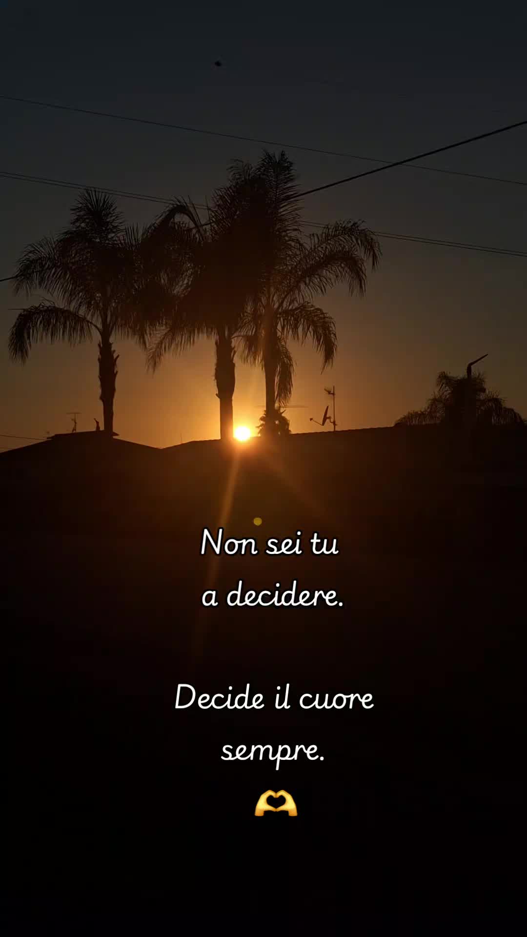 @Emilia Grieco