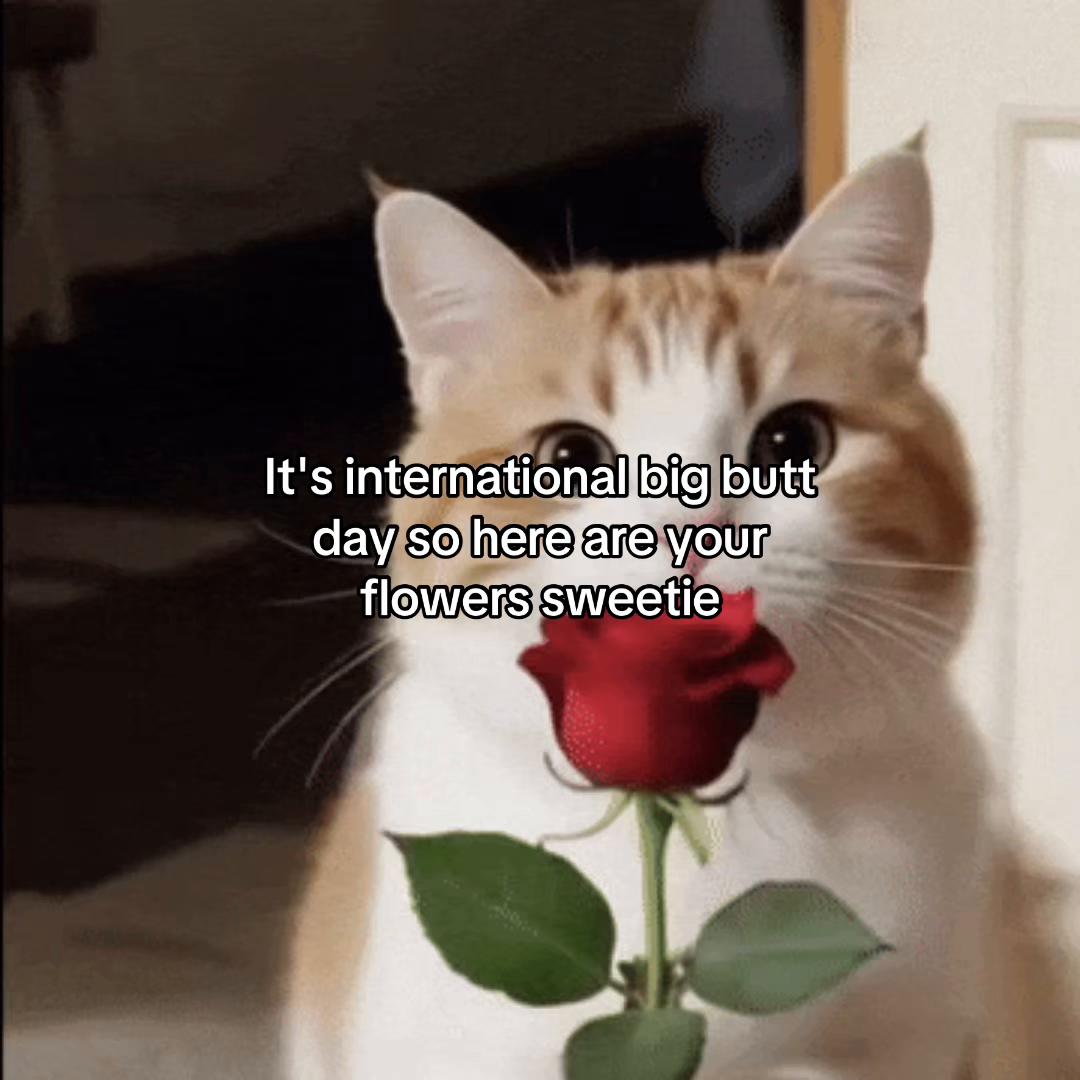 @Alice.cattok