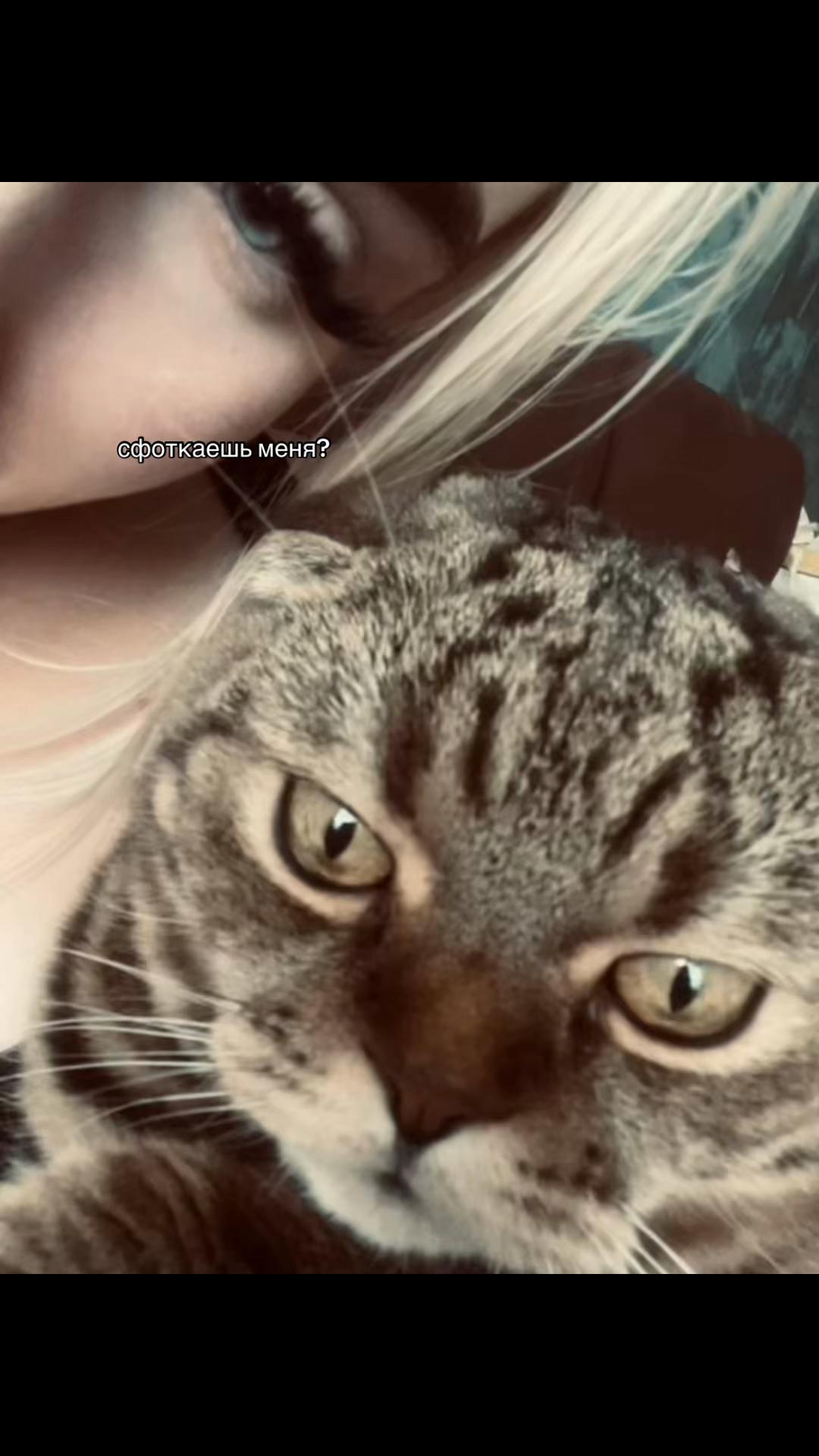 @Лизка ✨