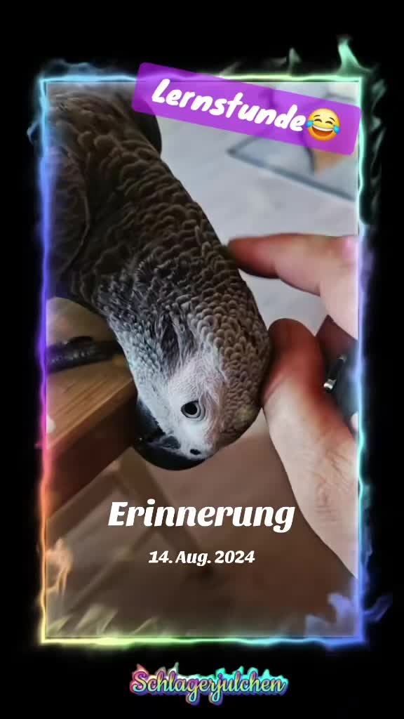 @☞︎︎︎🅙︎🅤︎🅛︎🅒︎🅗︎🅔︎🅝︎☜︎︎︎