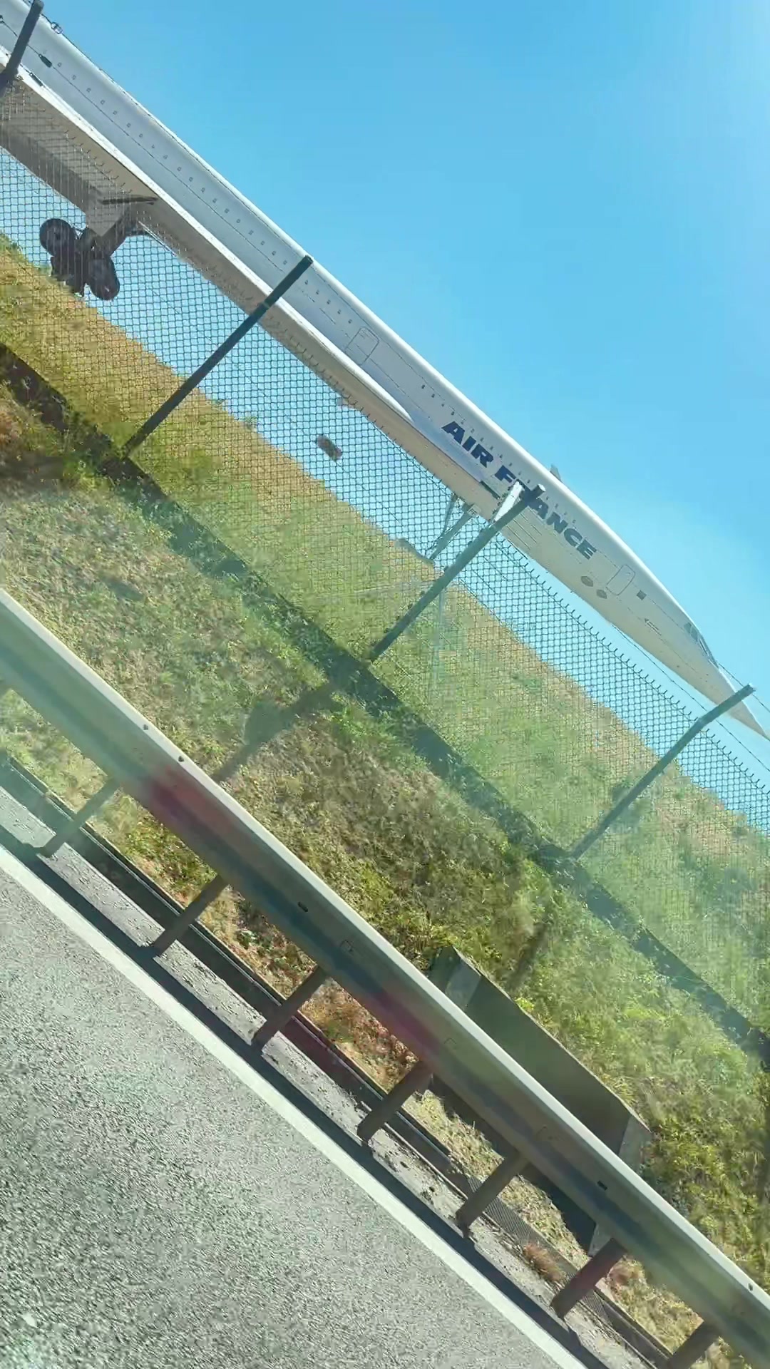 @Caro Kimi
