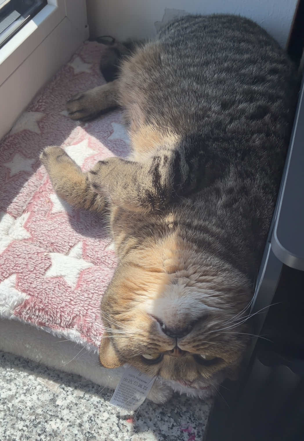 @Sonja_Kitty-Cat
