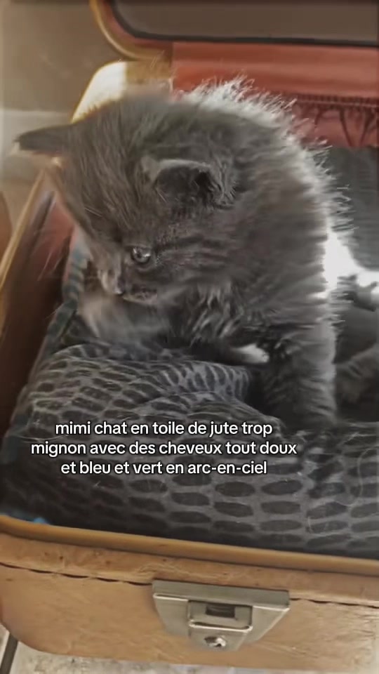 @๐ฟ๐๐๐๐๐’๐ค
