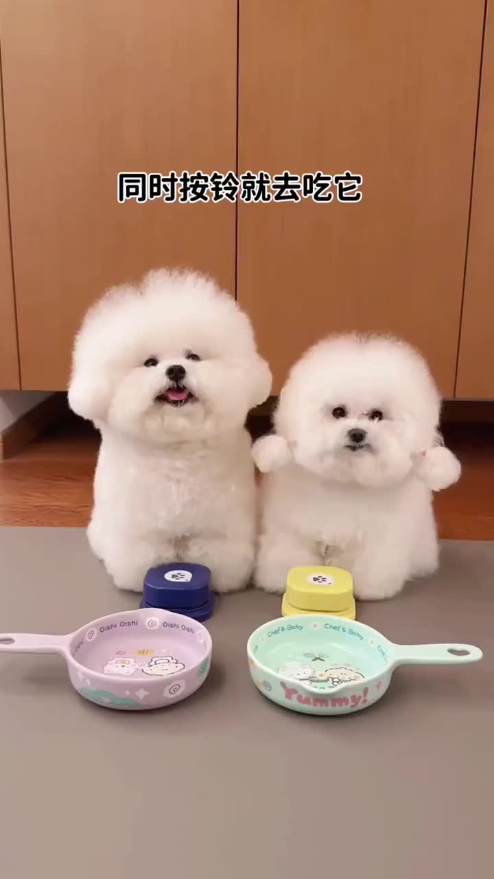 @pipuy.com
