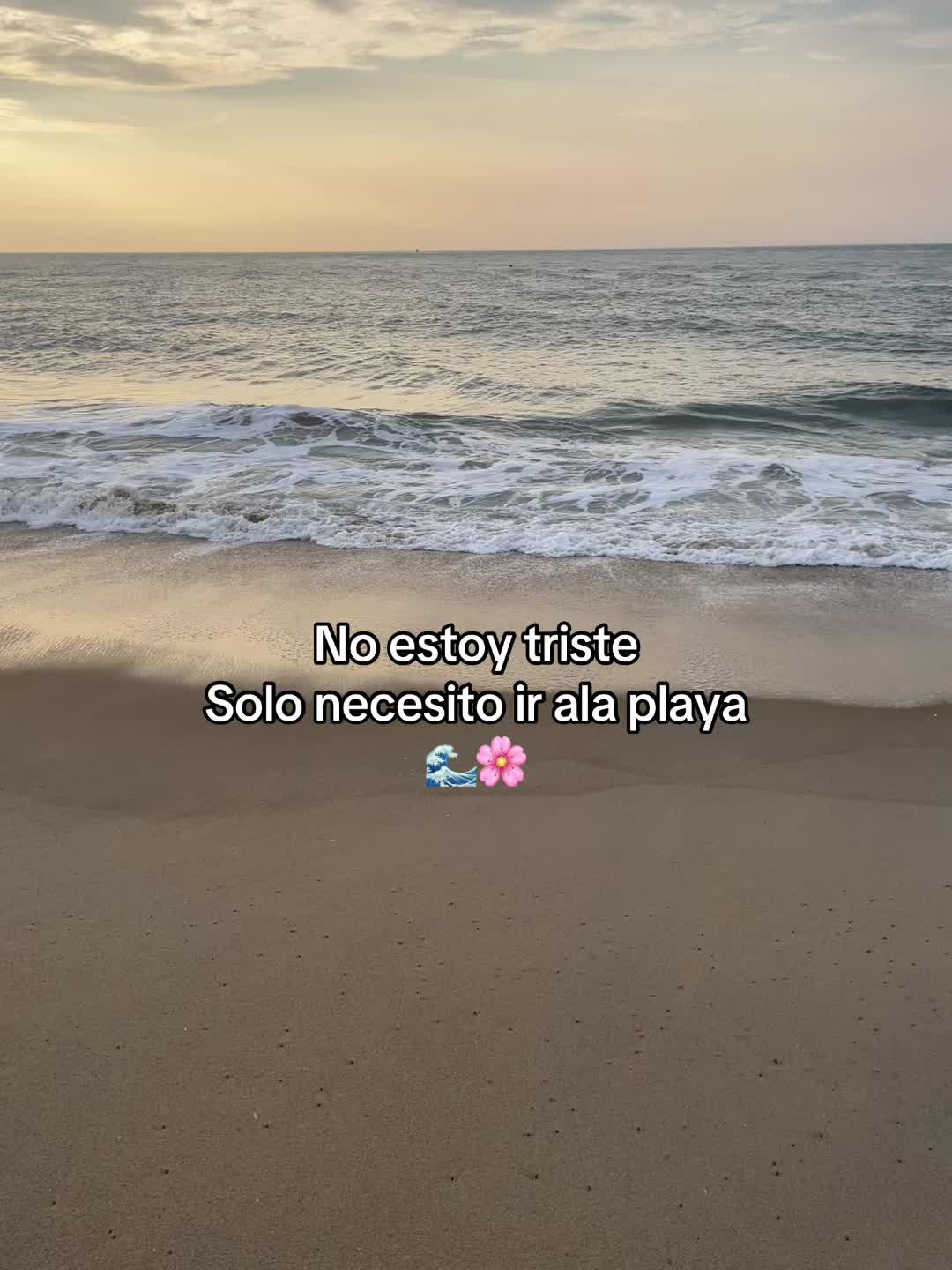 @Luna ✨💖🌙